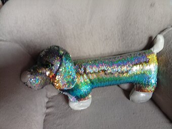 flitrový pejsek, jezevčík - 2