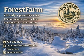 Zahrada,stromy, keře,dřevo - 2