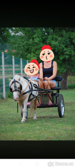 Sulka pro minipony - 2
