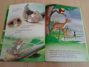 Kniha DUPÍK - DISNEY - jako NOVÁ - 2