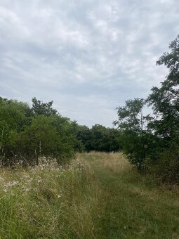 Prodej podílu na pozemcích Praha- Michle - 2