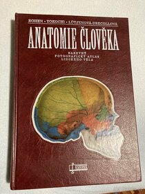 Anatomie člověka - 2