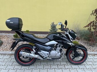 Suzuki GW 250 INAZUMA - 2