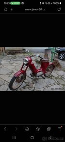 Jawa - 550 Pařez R.V.1955 - 2