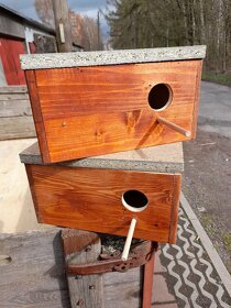 Budky pro andulky - 2