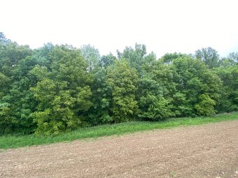 Pozemek ostatní plocha Podolí nad Olšavou - 2