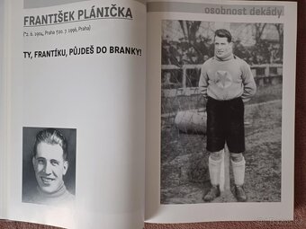 Se lvíčkem na hrudi - 2