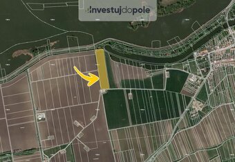 Prodej pole v k.ú. Dolní Věstonice - 2