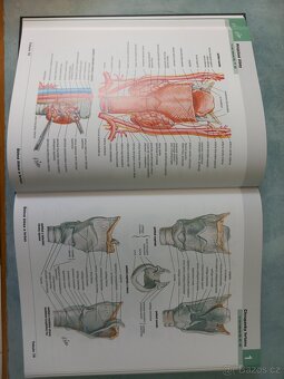 Netterův anatomický atlas - 2