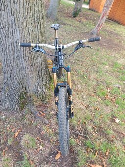 Yt capra - 2