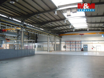 Pronájem výrobního objektu, 4465 m², Červený Kostelec, Lhota - 2