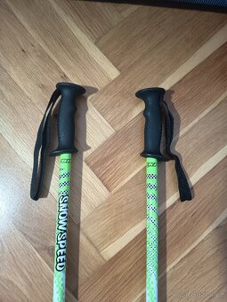 Lyžařské hole - 2