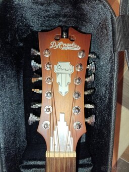 Elektroakustická dvanáctistrunná kytara D'Angelico Premier - 2