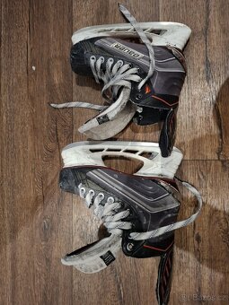 Bauer brusle - 2