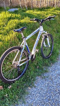 Prodám kolo Alpina eco m10 26" - 2