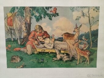 Obrázek Šípková Růženka - 2