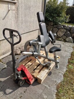 Technogym - HAMMER STRENGTH biceps a triceps - 2