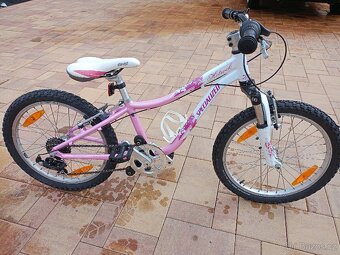 Specialized Hotrock - 2