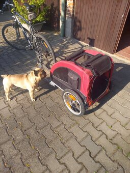 Vozík pro psa - 2