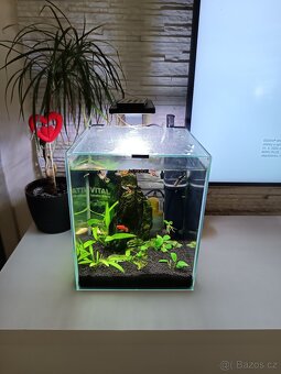Akvárium se světlem a motorkem - 2