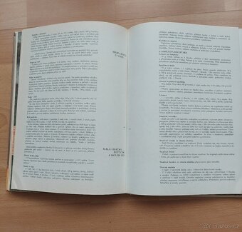 Rychlá kuchařka - 2