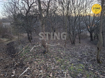 Prodej 1/4 z RD a přilehlých pozemků s lesy, 131676 - 2