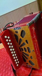 Harmonika LIGNA - 2