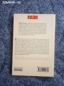 ROZVÍJENÍ INTUICE:PRAKTICKÁ PŘÍRUČKA NA KAŽDÝ DEN - 2