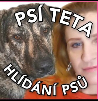 Pohlídám vašeho pejska - 2