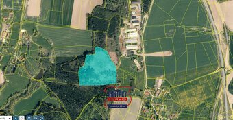prodej lesních pozemků s kvalitními porosty u obce Ješetice - 2