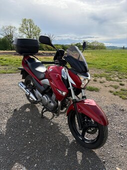 Prodám Suzuki Inazuma 250 - 2