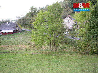 Prodej louky, 2749 m², Janův Důl - 2