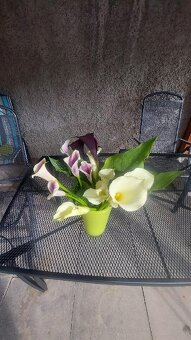 Kaly- cibulky- 3 barvy - 2