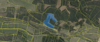 Prodej lesa u Volyně - 79 let - 2