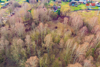 Prodej louky, 6306 m², Arnoltice - 2