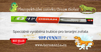 Terárium , Osram Biolux , agama vousata - 2