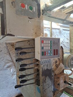 Kmenová pasová pila - 2