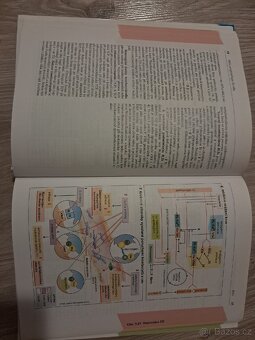 Atlas patofyziologie člověka - 2