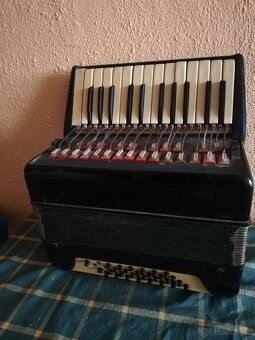 Harmonika - Akordeon - 2