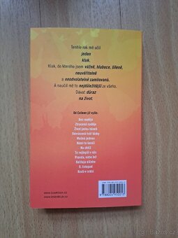 Život jedna báseň - Colleen Hooverová - 2