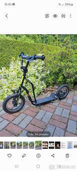 Kolobezka Galaxy Calypso 12" - 2