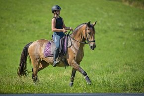Extra Lusitano kobyla - 2