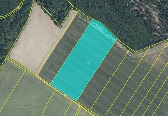 Pozemky u Znojma – velké celky s dobrou bonitou – 13,4 ha - 2
