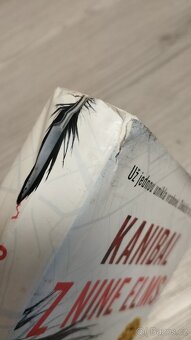 Kniha - 2