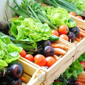 PRONÁJEM zahrady 600m2 Vyšehořovice - 2