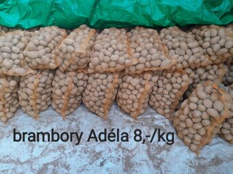 Brambory - 2
