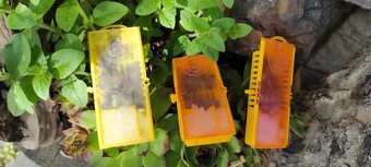 včelí oddělky,oddělek,včelí matky 2025,včely,včelstva,med - 2