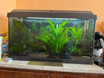 PRODÁM KOMPLET.AKVÁRIUM JUWEL - 2