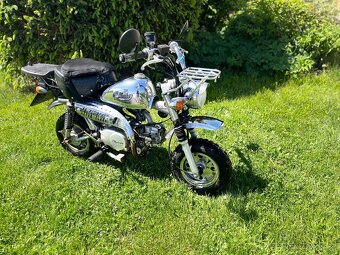 SkyTeam SKYMINI 125 - 2