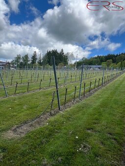 Pozemky pro bydlení, 3 446 m2 - Jablonec nad Nisou - 2